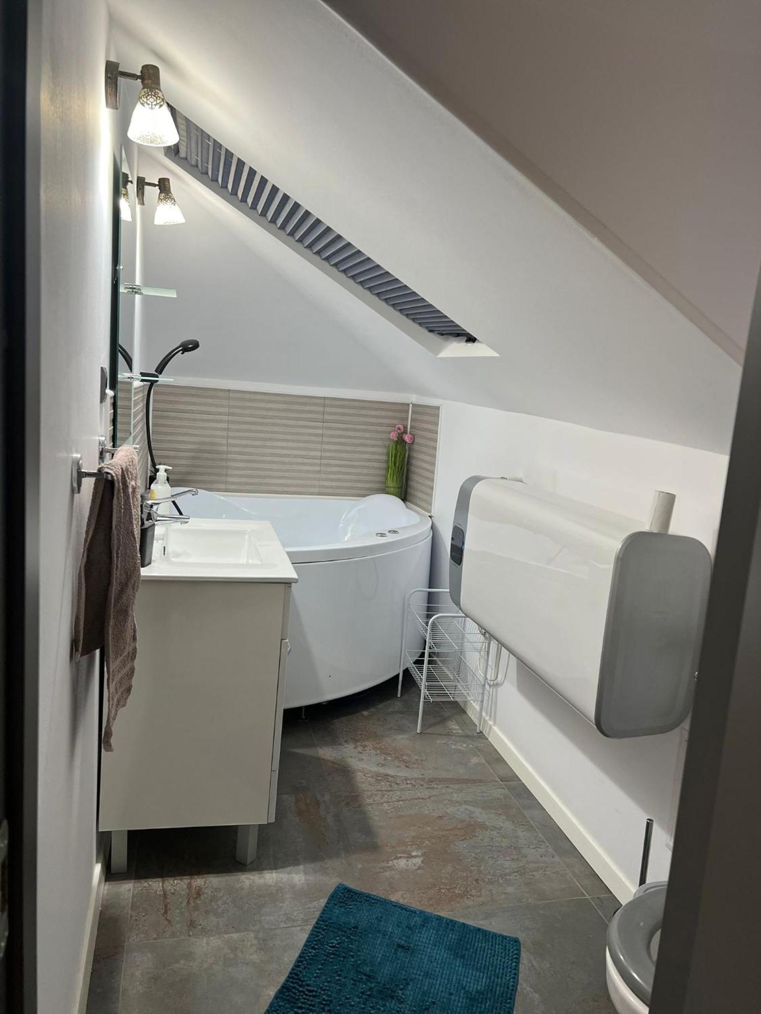 Apartament Mansarda Venus Râmnicu Vâlcea Exterior foto